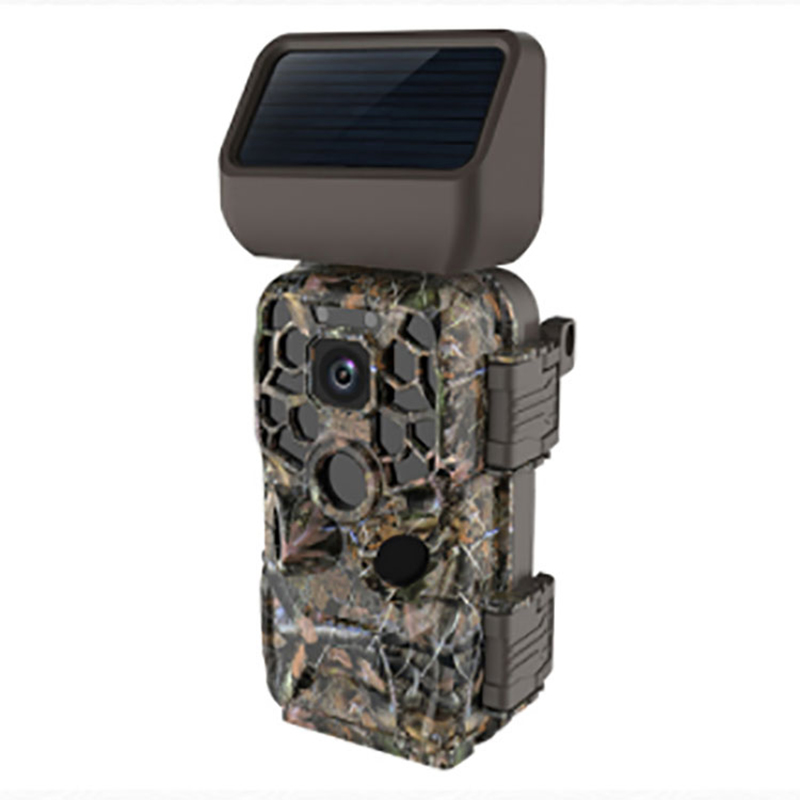 নতুন 4K 1080P 24 MP ফটো ওয়াইফাই ওয়্যারলেস হান্টিং ক্যামেরা